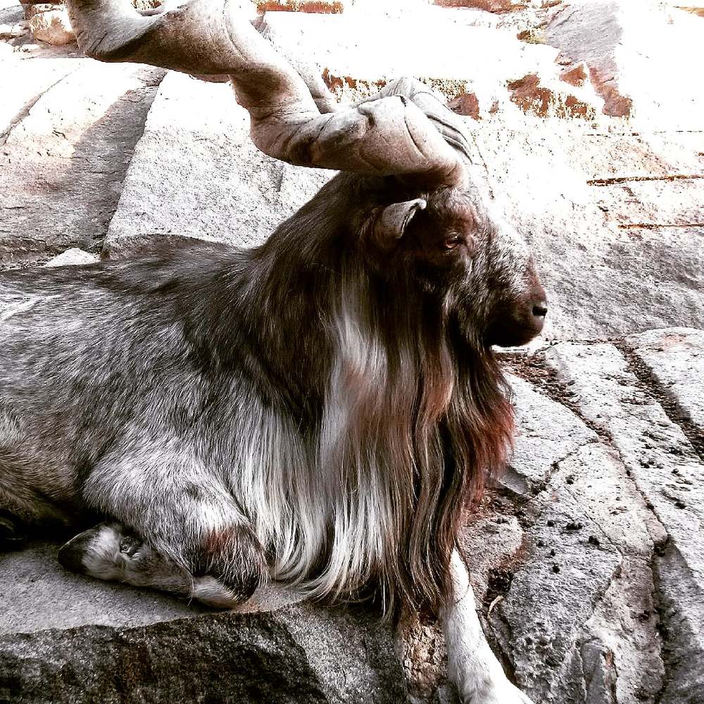 Photograph by Vadim Arutyunov