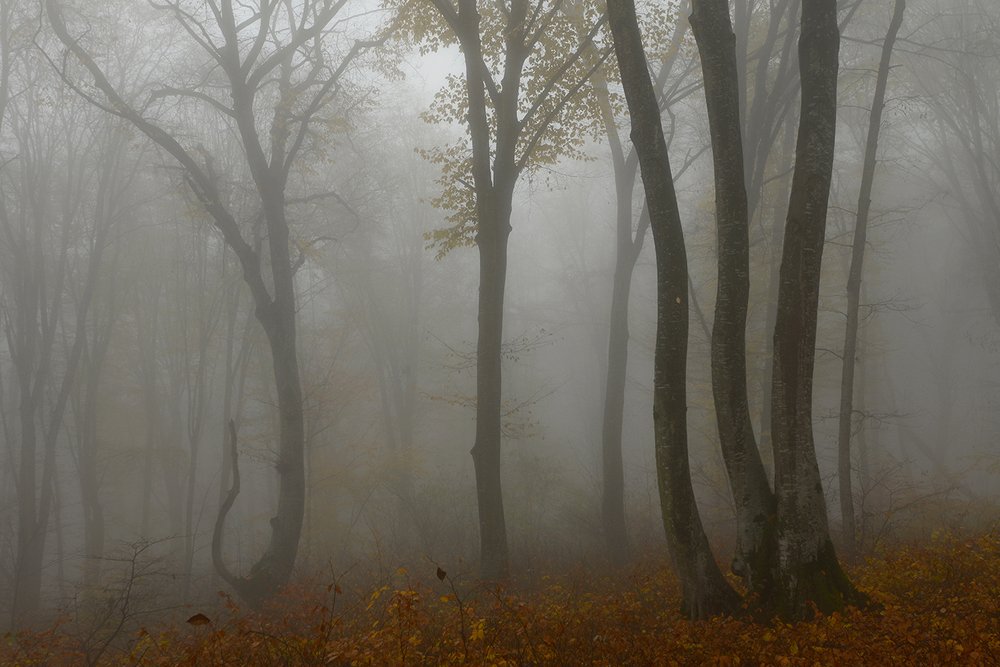 Photograph by Хасан Журтов