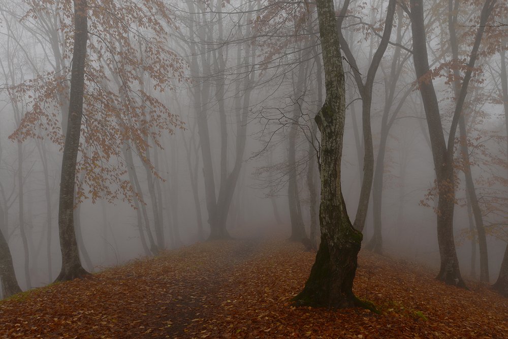 Photograph by Хасан Журтов