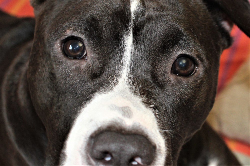 Photograph by Ирина Толокнова