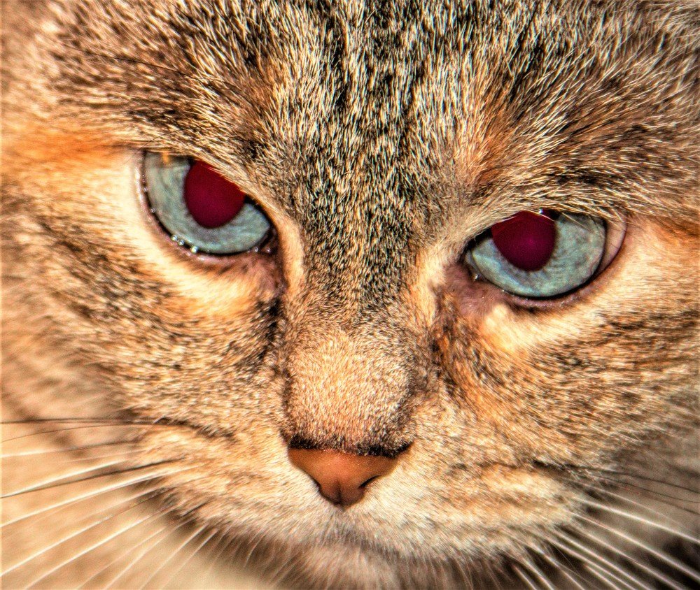 Photograph by Ирина Толокнова