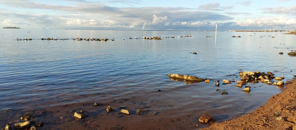 Photograph by Галина