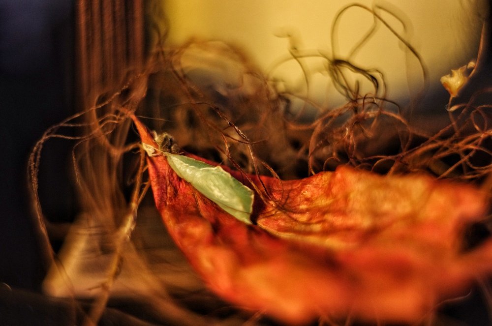 Photograph by Кристина Великанова