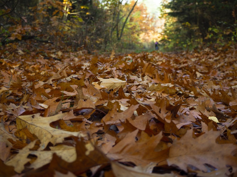 Photograph by андрей гусев