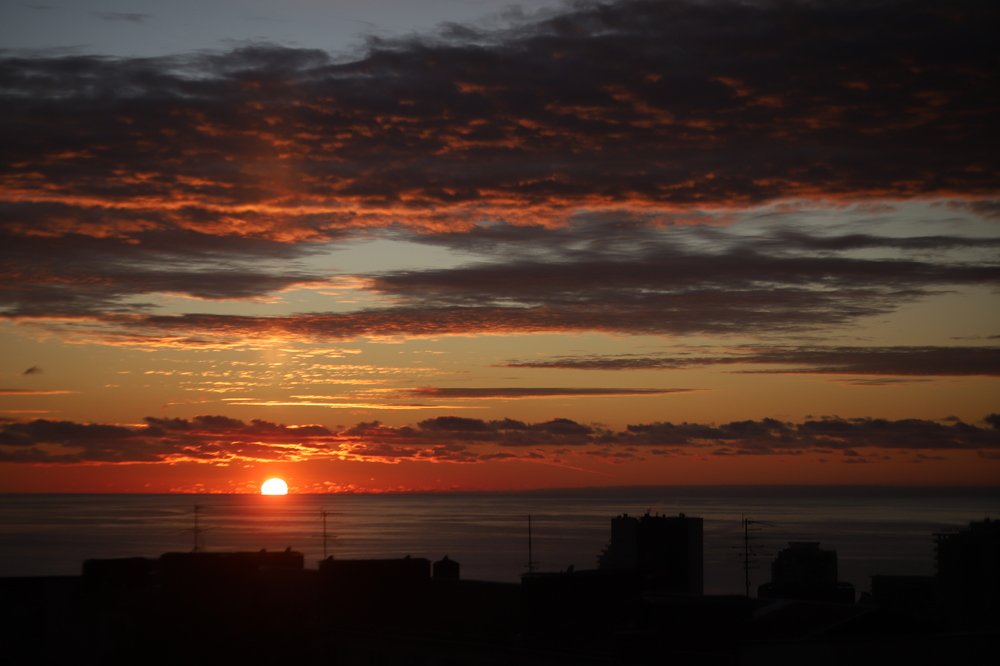 Photograph by Диана Думиника