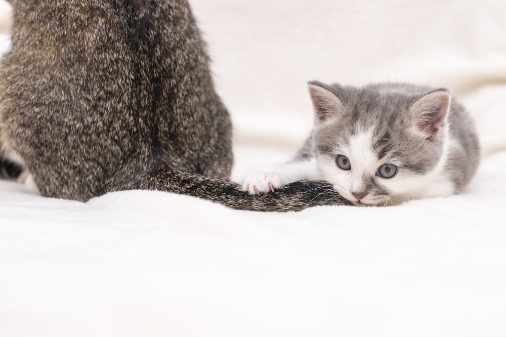 Photograph by Irina Stanislavskaya