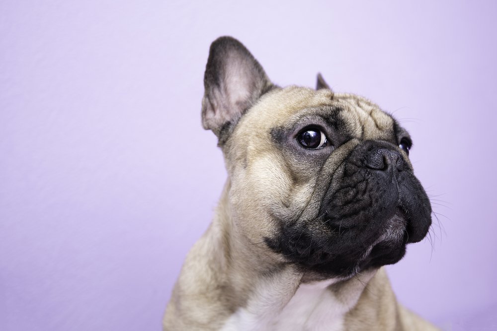 Photograph by Кадырова Марина