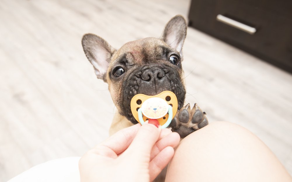 Photograph by Кадырова Марина