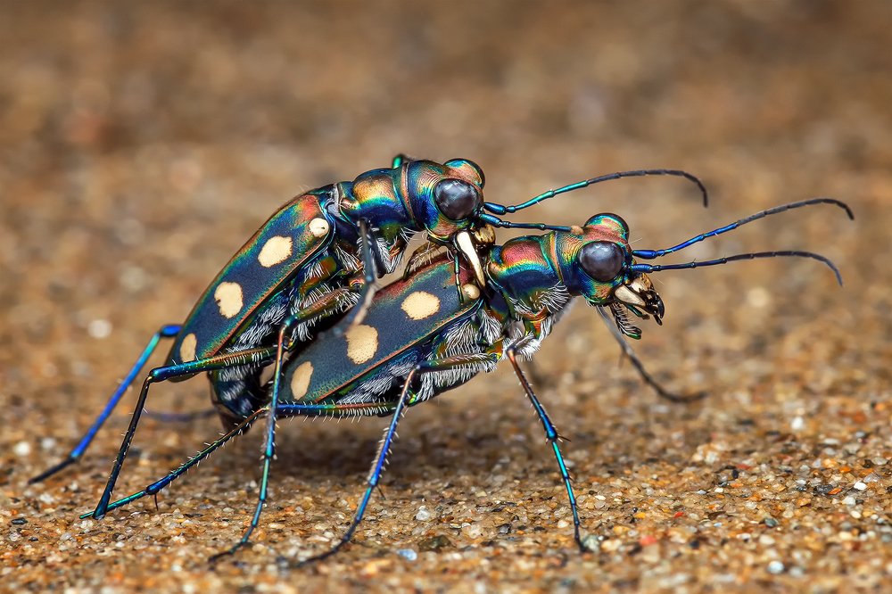 Photograph by Marcus Kam