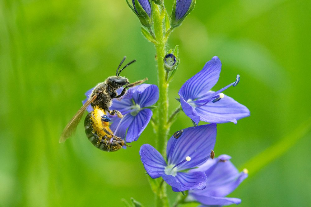 Photograph by Сергей Беляевский