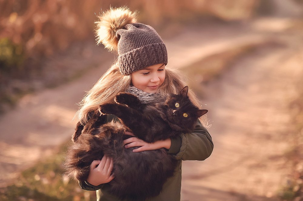 Ноябрьская прогулка