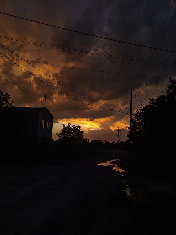 Photo #5293155