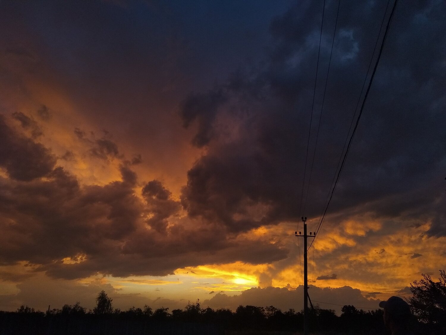 Photo #5293156