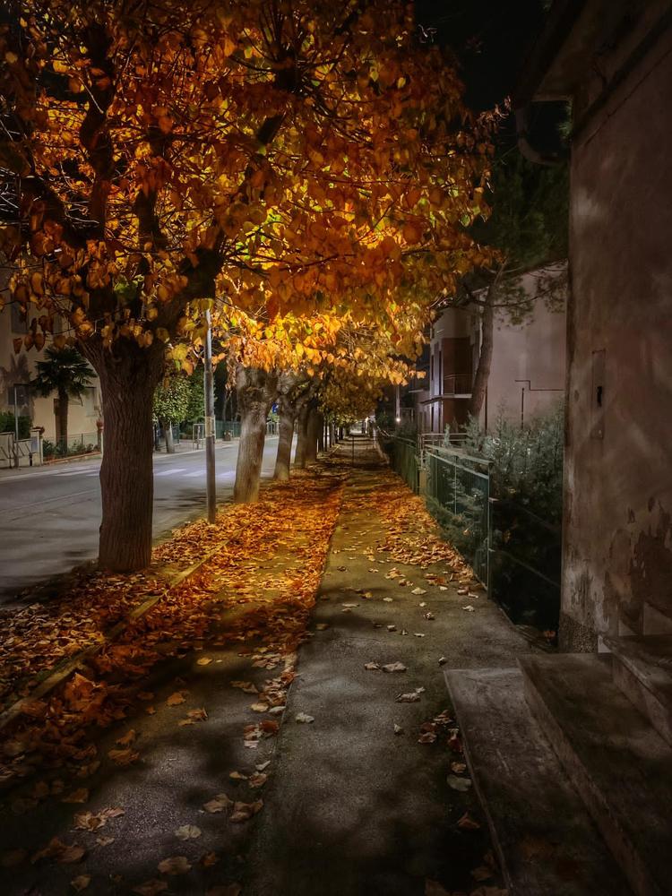 Photograph by Марина Неберекутина