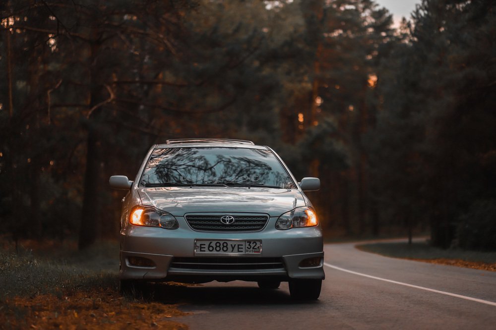 Photograph by Дарья Заводцова