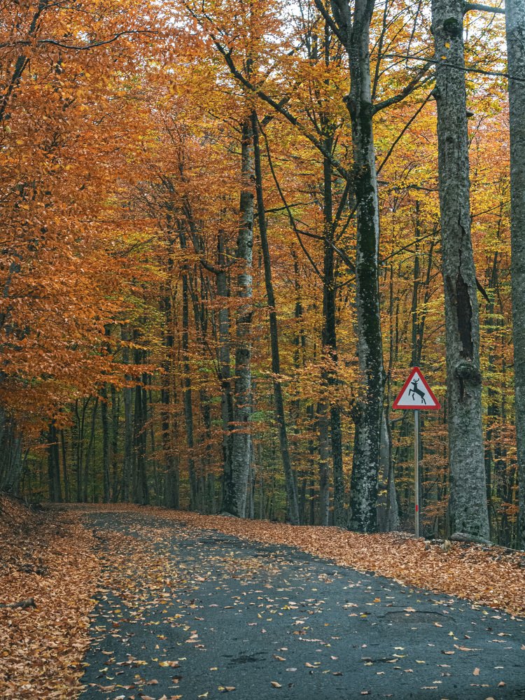 Крымский заповедник