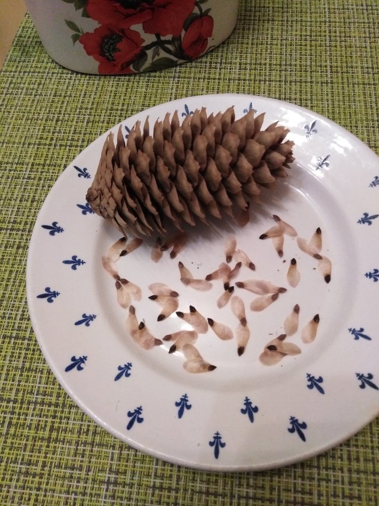 Photograph by Татьяна Ситникова