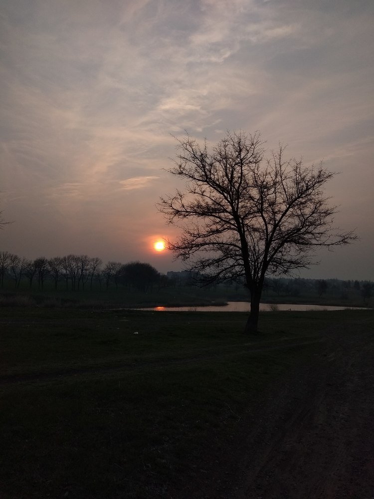 Photograph by Ирина Коротких