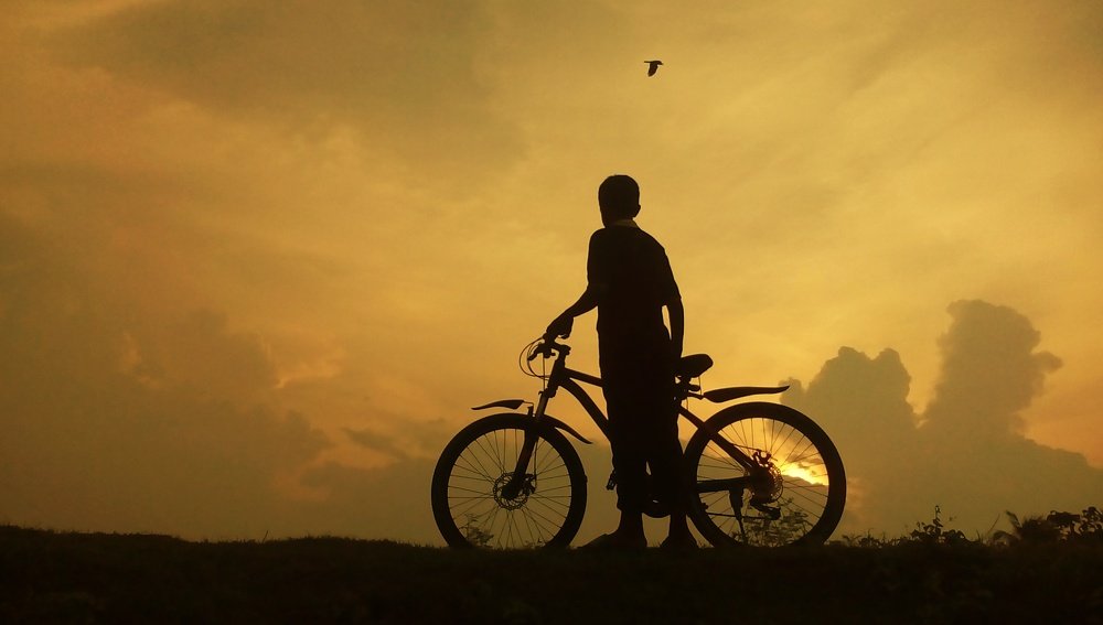 Фотография автора Mir Shahid