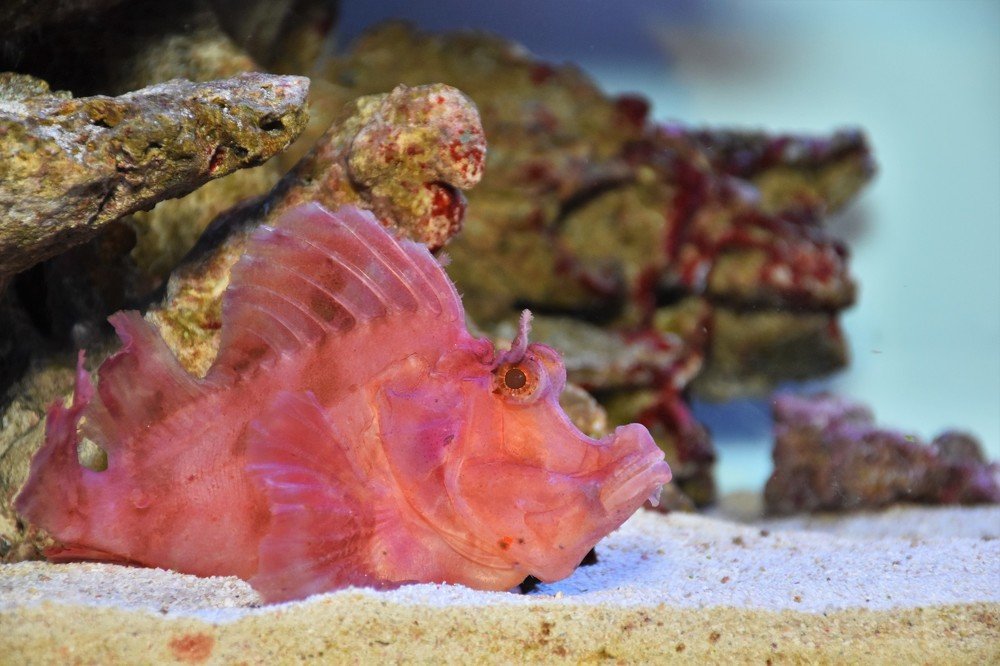 Photograph by Дмитрий Петров