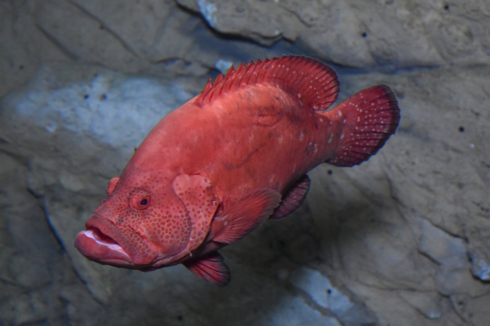 Photograph by Дмитрий Петров