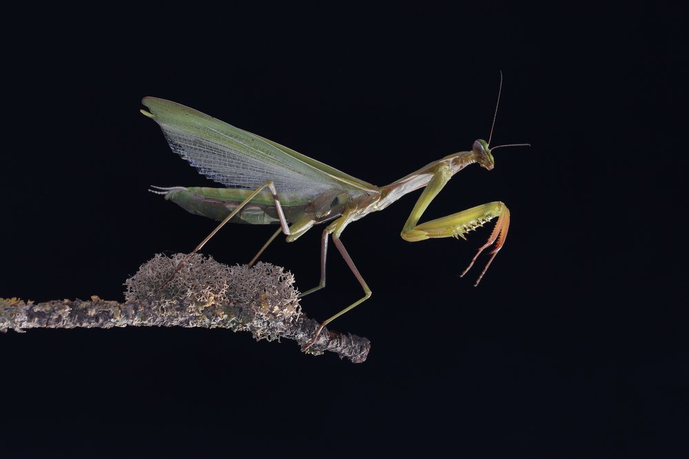 Photograph by Yakup Temel