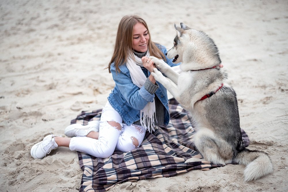 Милая попрошайка