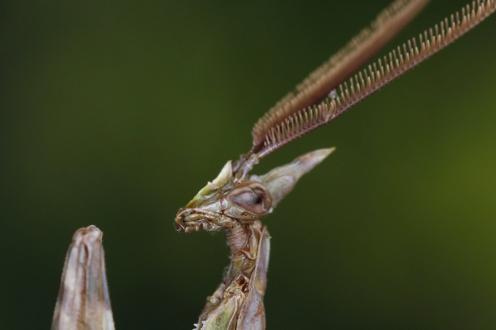 Photograph by Yakup Temel