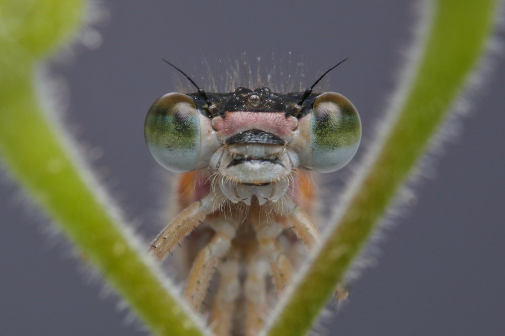 Photograph by Yakup Temel