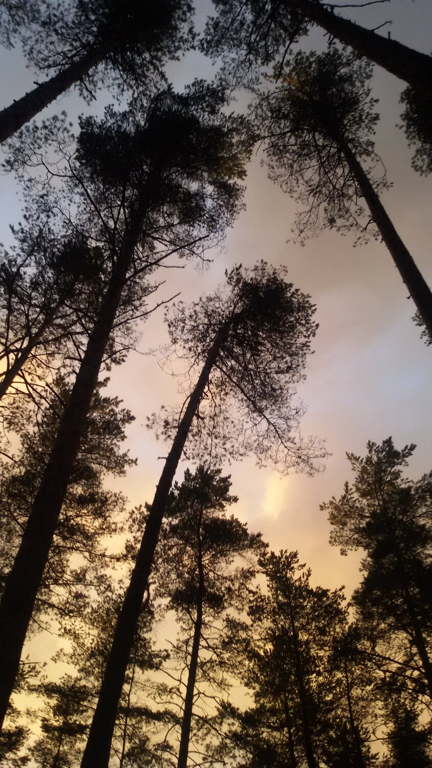 Photo #5293503