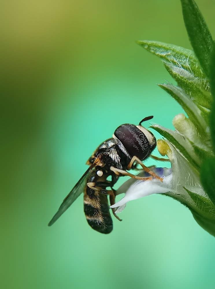 Photograph by Ashik R S Mohammed