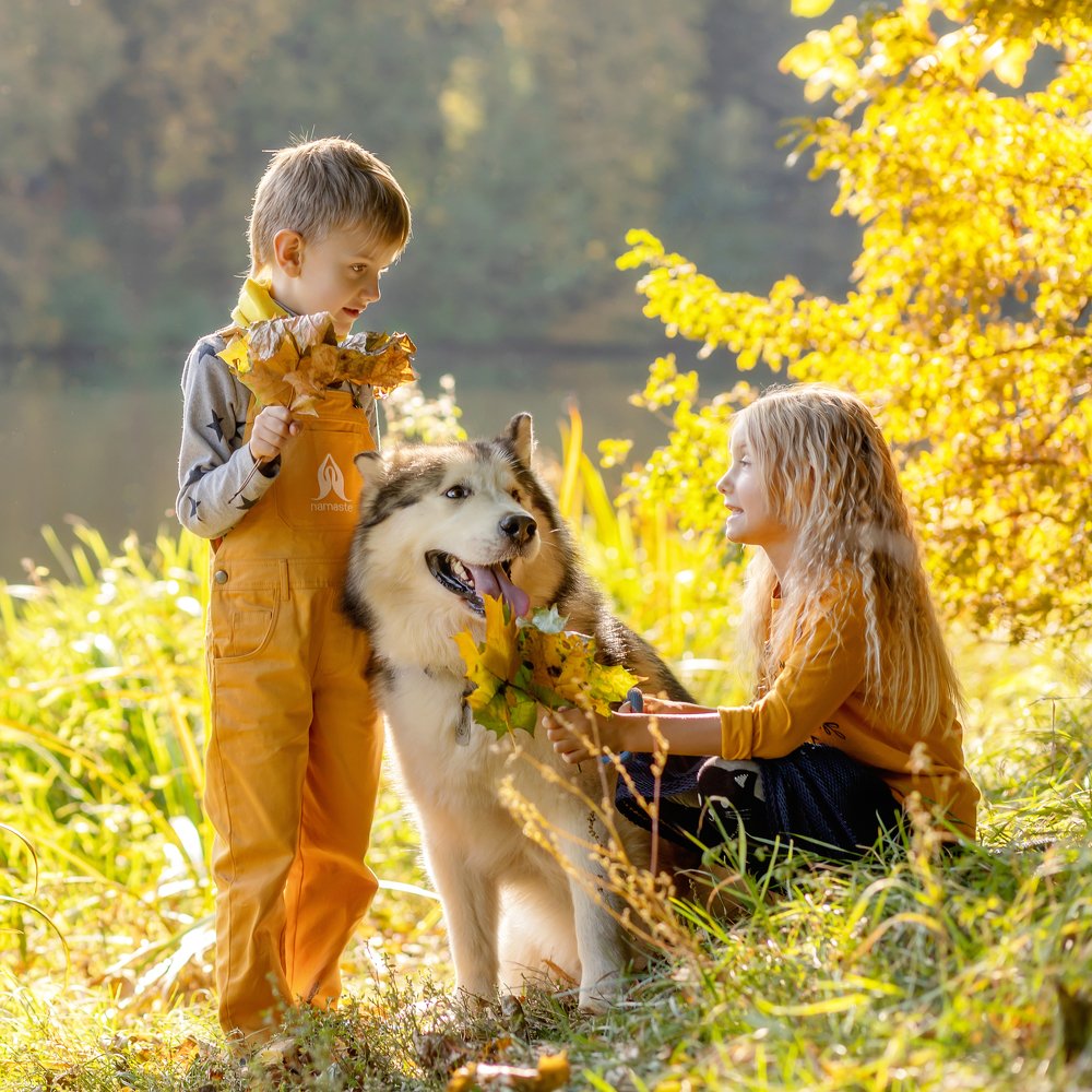 Photograph by Екатерина Коломеец