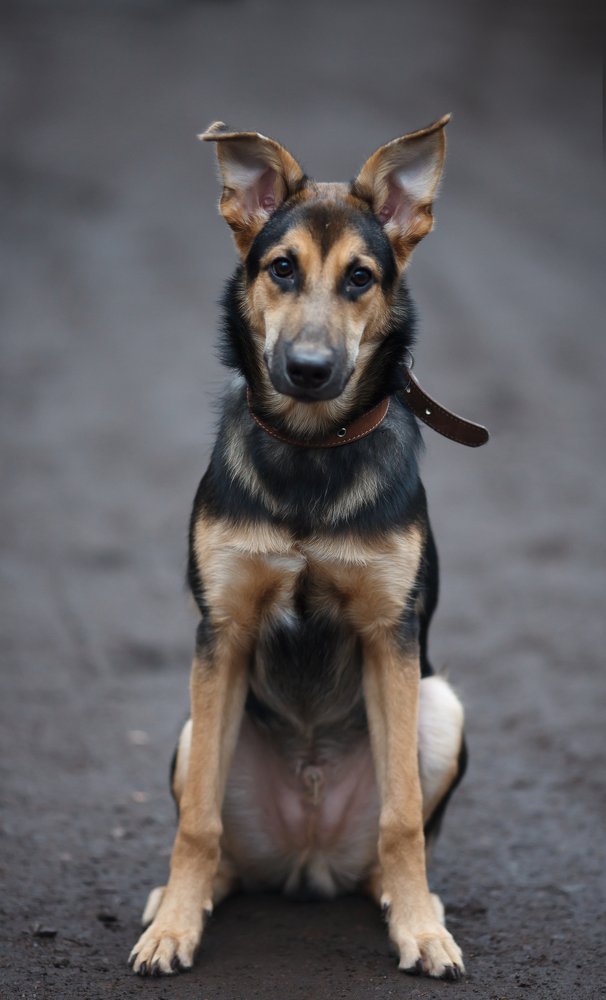 Photograph by Вера