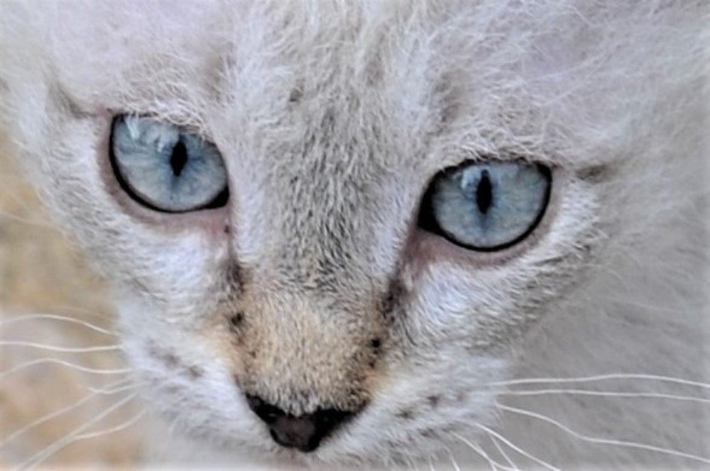 Photograph by Галина