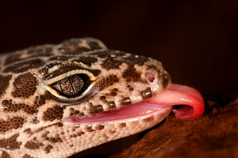 Photograph by Yuwaraj Gurjar