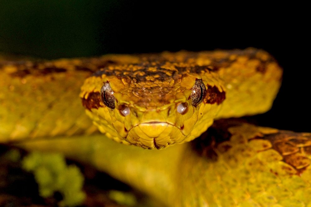 Photograph by Yuwaraj Gurjar