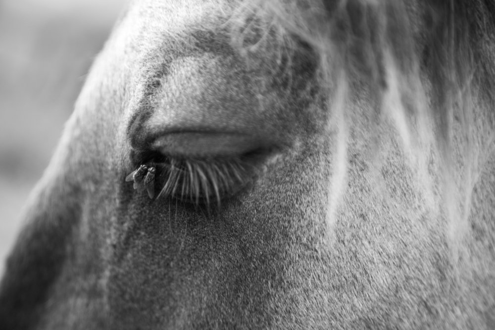 Photograph by Dzintra Zvagina