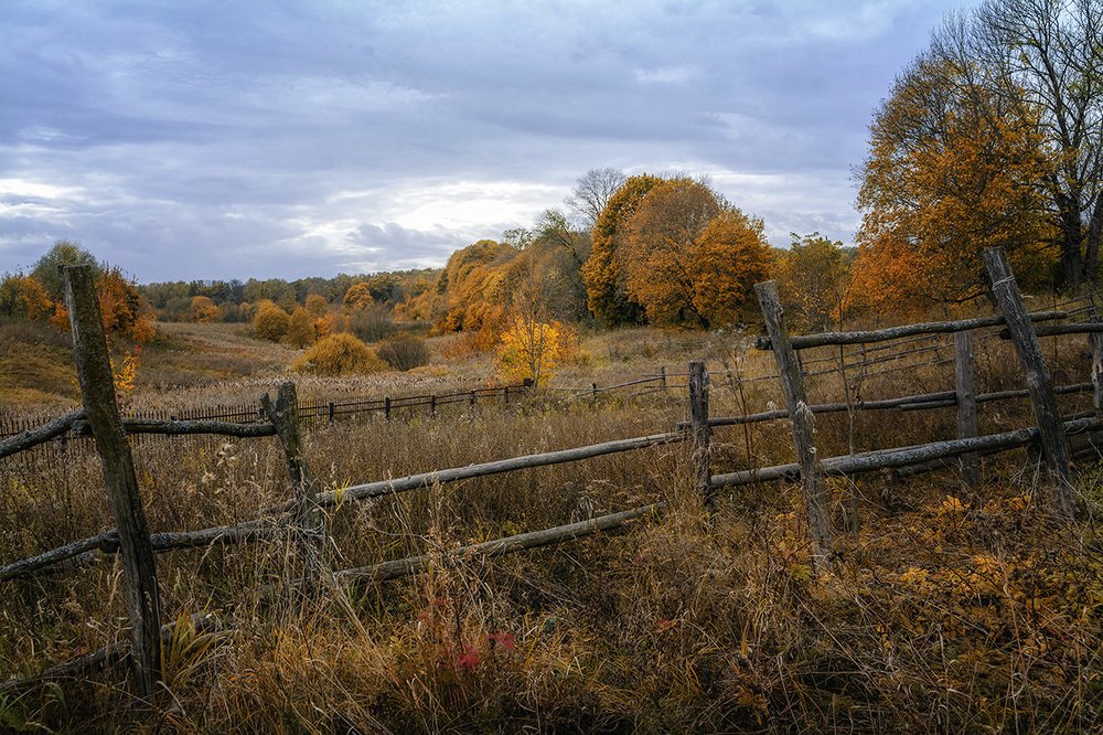 Сельский пейзаж.