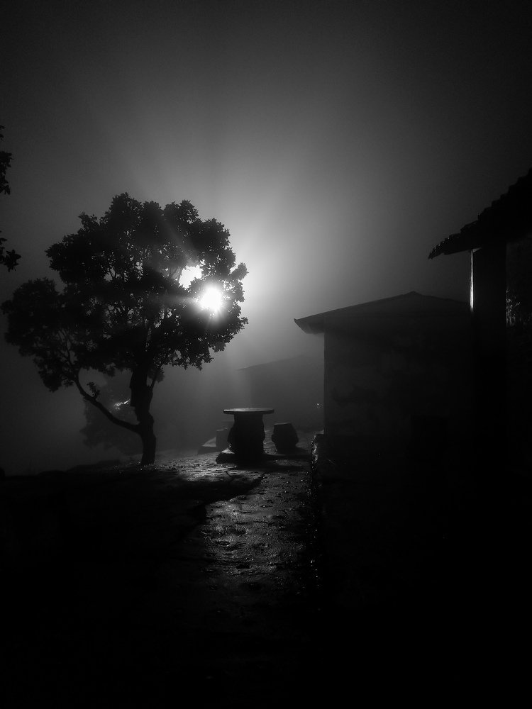 Photograph by amin roshan afshar