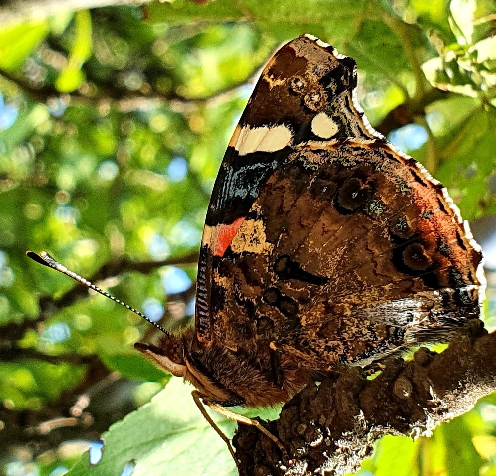 Photograph by Вера Курносова