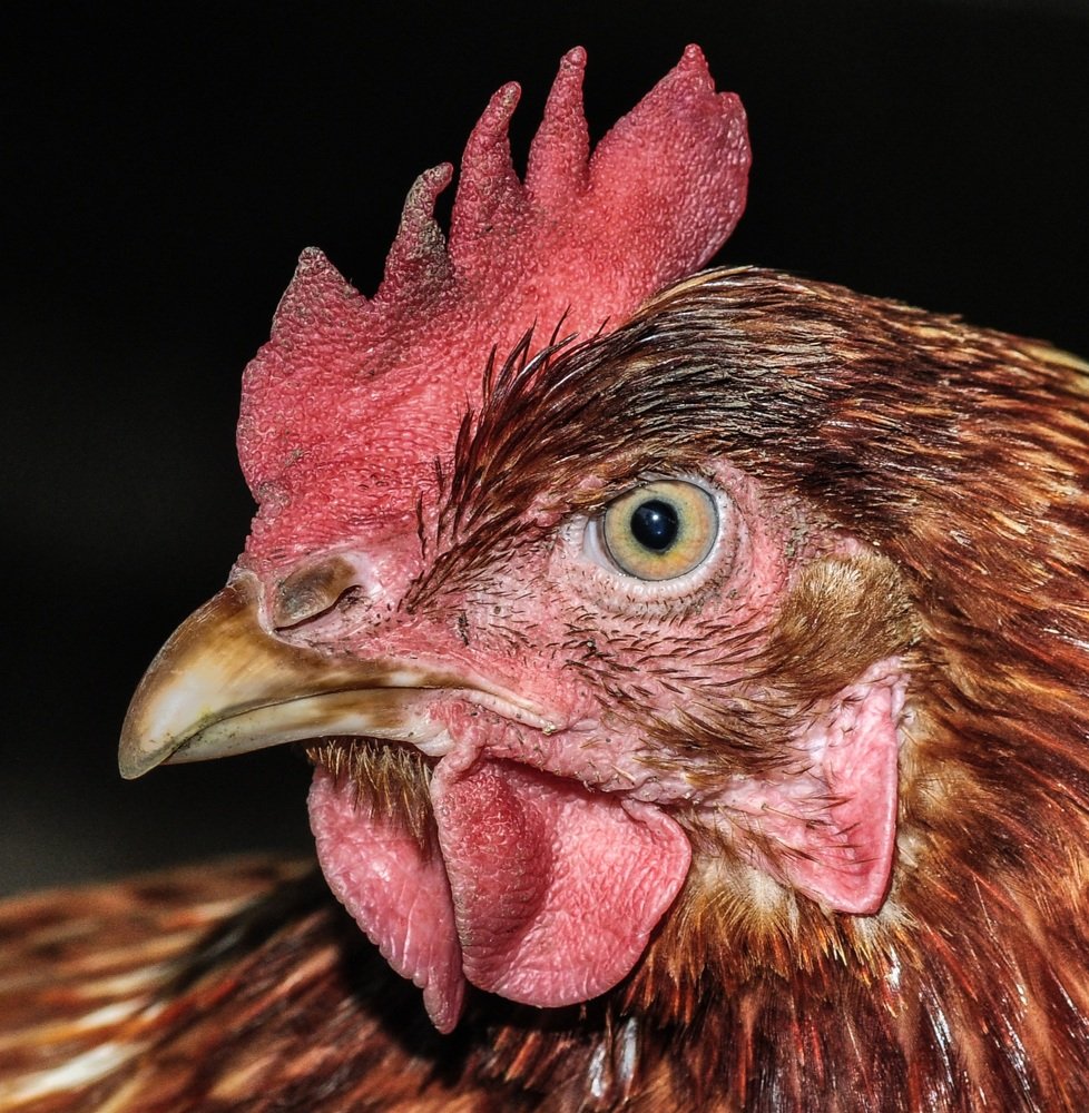 Photograph by Дмитрий Балатский