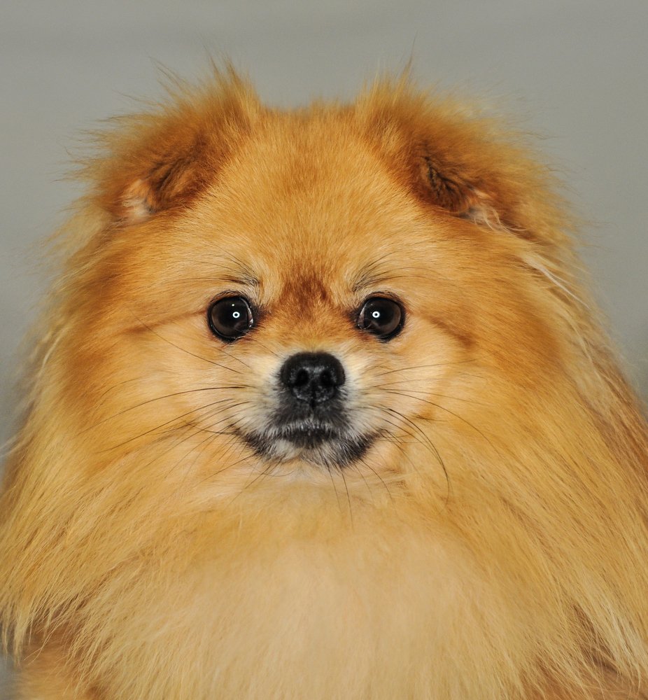 Photograph by Дмитрий Балатский