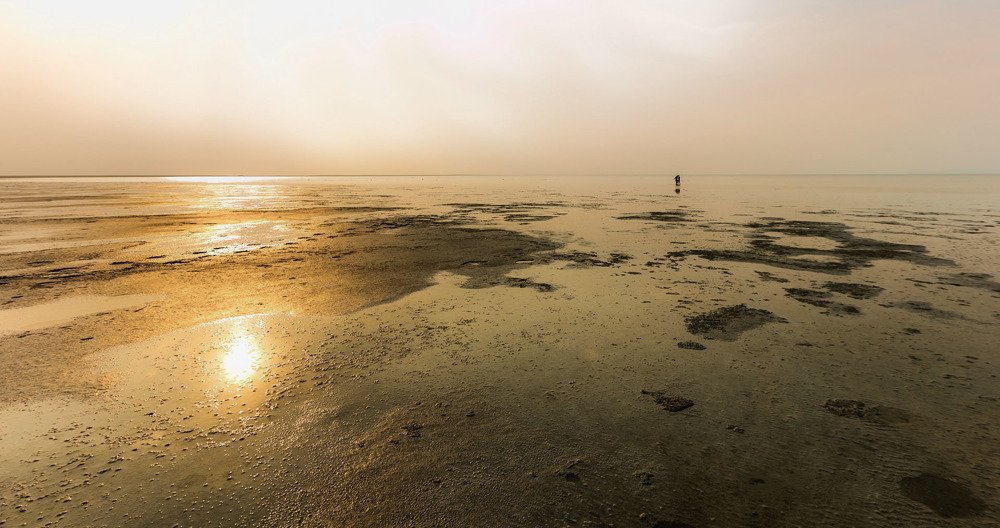 Photograph by Sven Rok