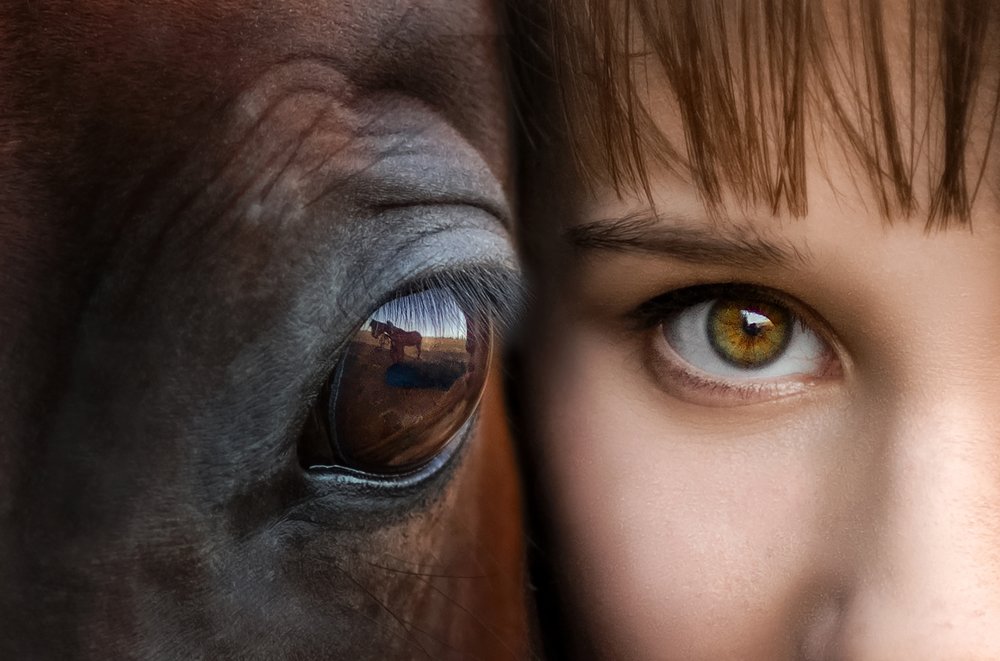 Photograph by Екатерина Кикоть