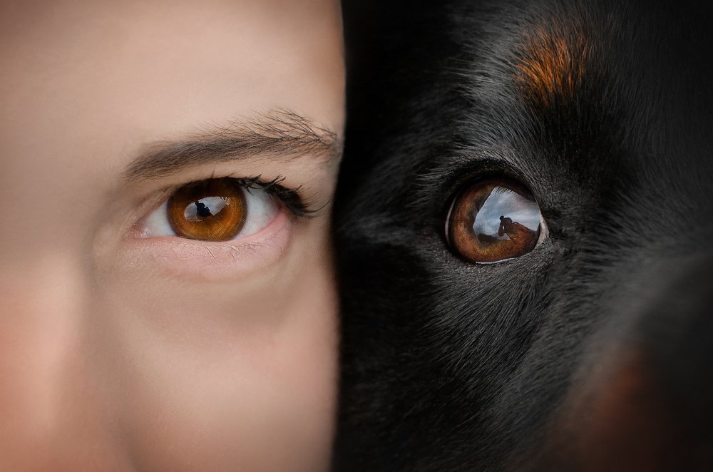 Photograph by Екатерина Кикоть