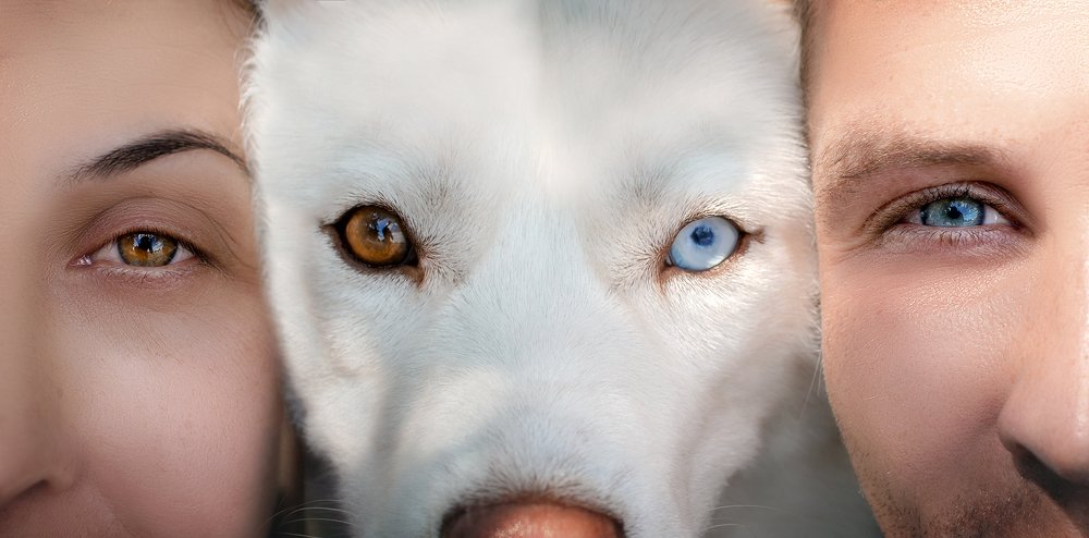 Photograph by Екатерина Кикоть