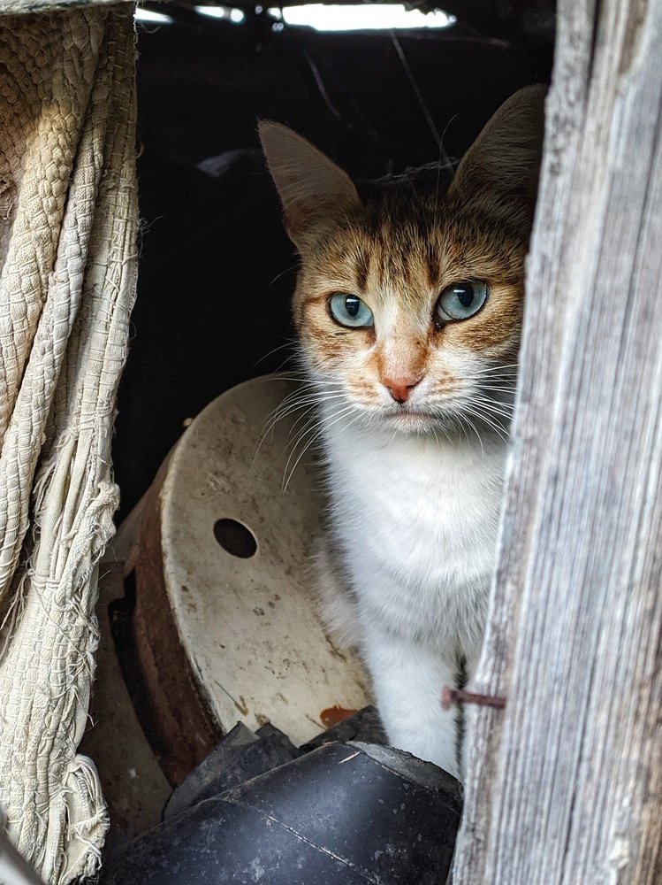 Photograph by Наталья Егорова