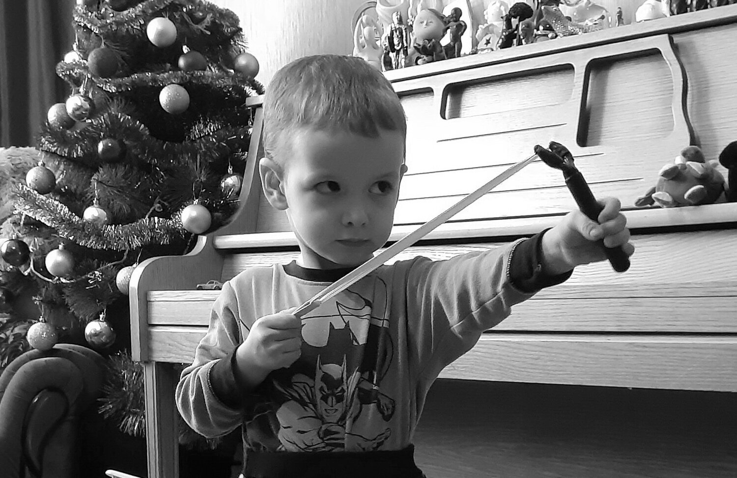 Photo #5293742