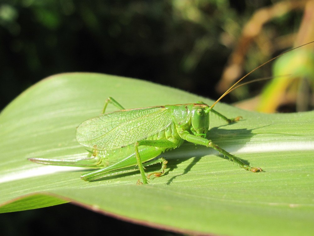 Photograph by Юлия