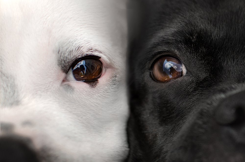 Photograph by Екатерина Кикоть